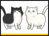 Cats - White/Cream/Tuxedo
