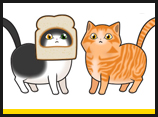 Cats - Inbread/Ginger Tabby