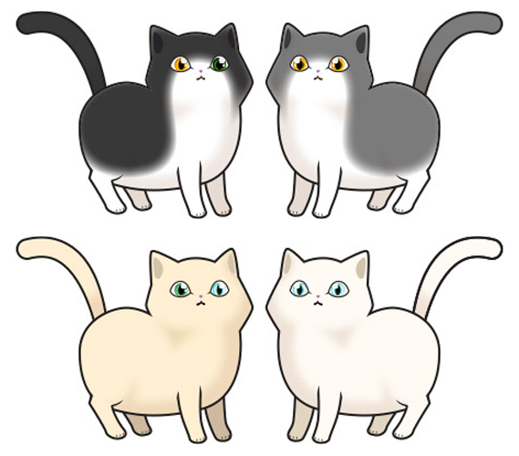Cats - White/Cream/Tuxedo