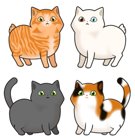 Cats - Manx/Munchkin