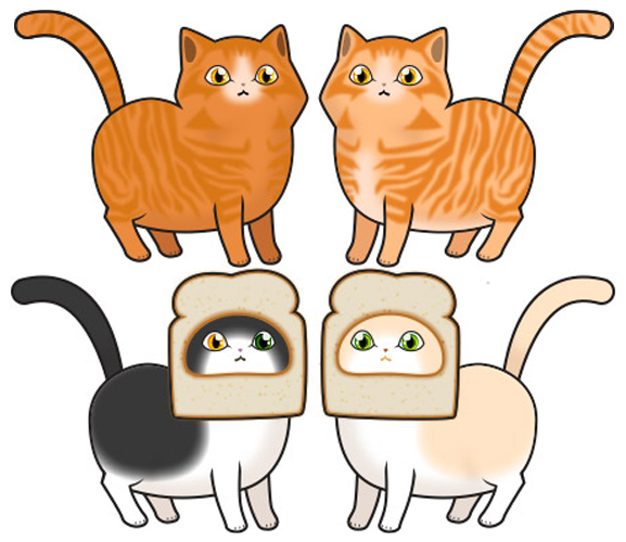 Cats - Inbread/Ginger Tabby